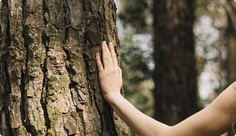 Sustainability at Hotel Internacional